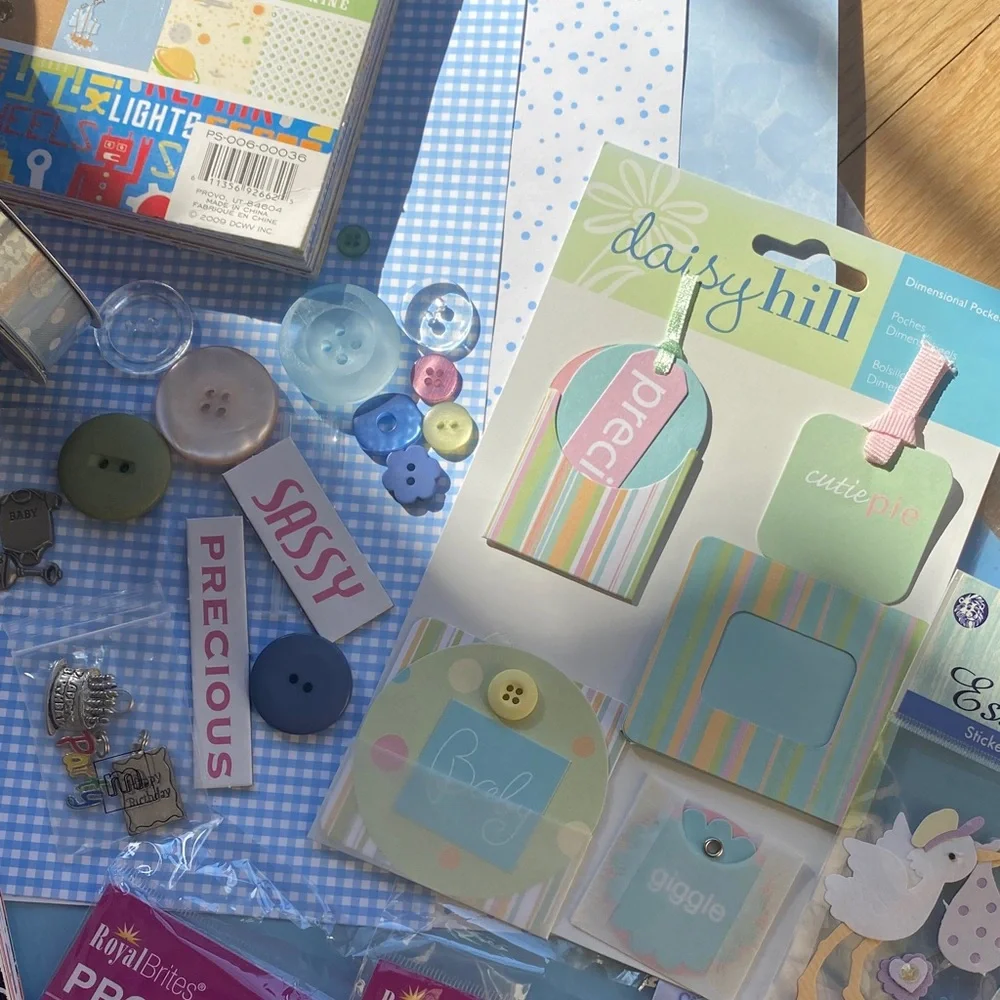 Baby Kids Scrapbook Kit Junk Journal Family Craft Bundle DCWV Sandy Lion
